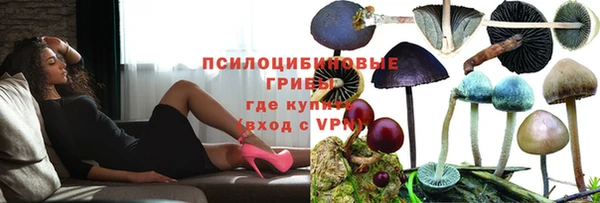 гидра Горнозаводск