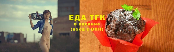 гидра Горнозаводск