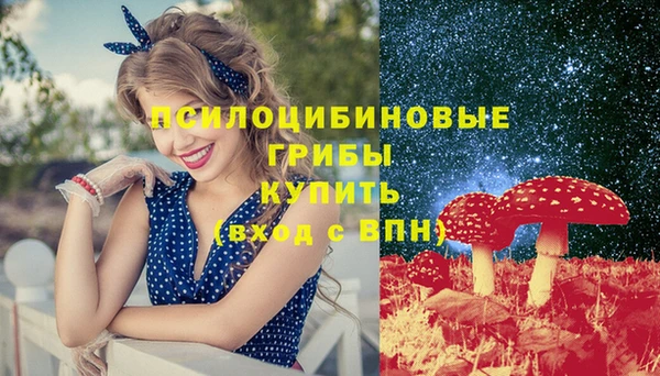 гидра Горнозаводск