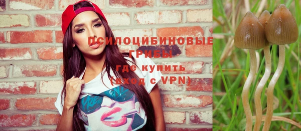 гидра Горнозаводск